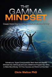 Gamma Mindset Book Image